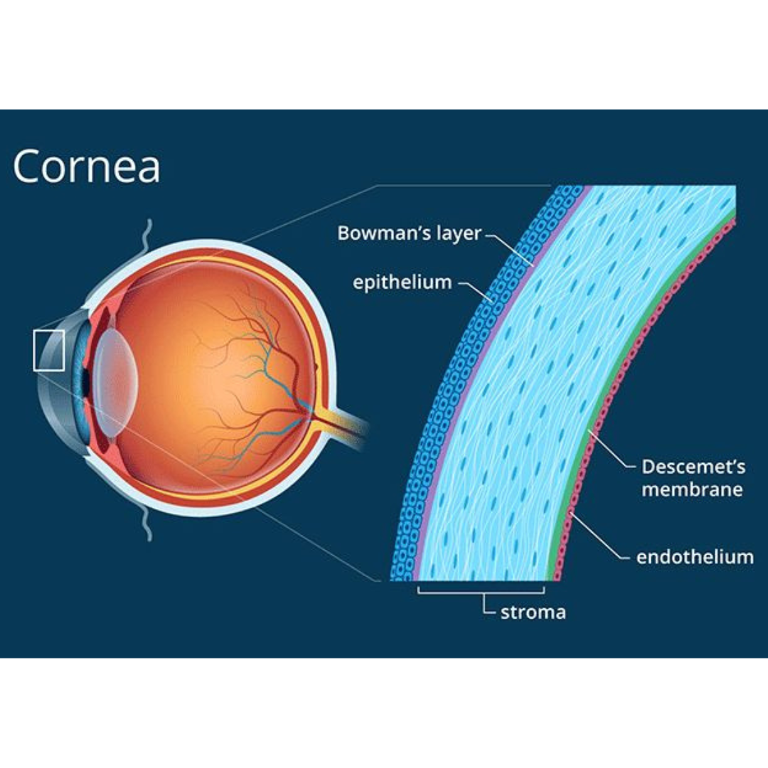 Cornea Symptoms